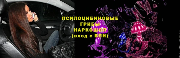индика Баксан