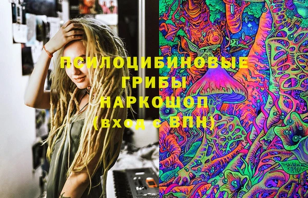 индика Баксан