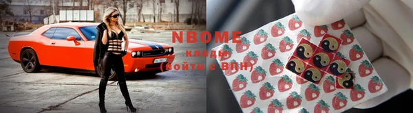 индика Баксан