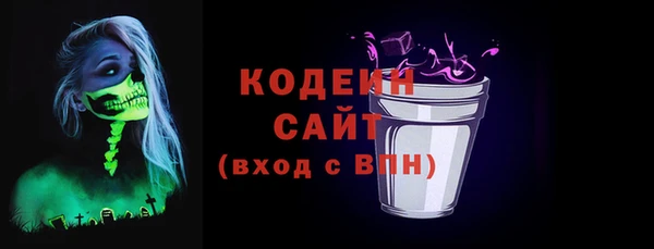 индика Баксан