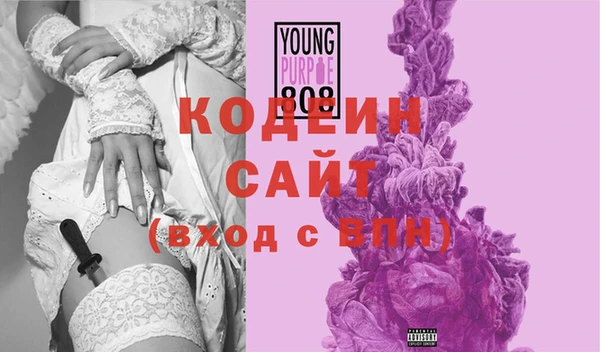 индика Баксан