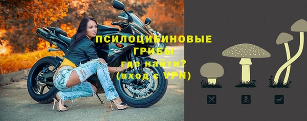 индика Баксан