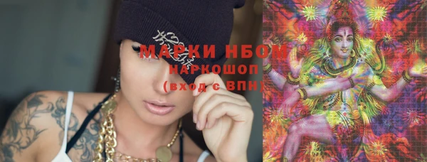 индика Баксан