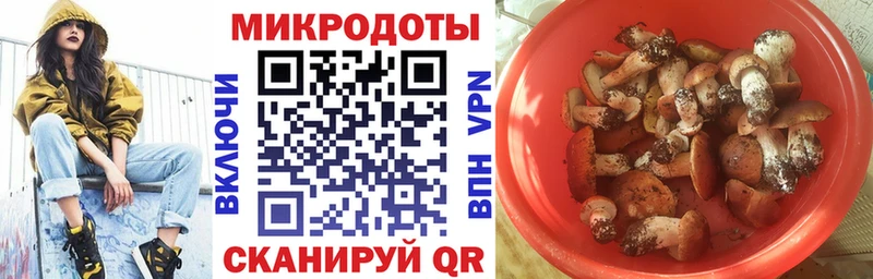 Галлюциногенные грибы Magic Shrooms  Нязепетровск 